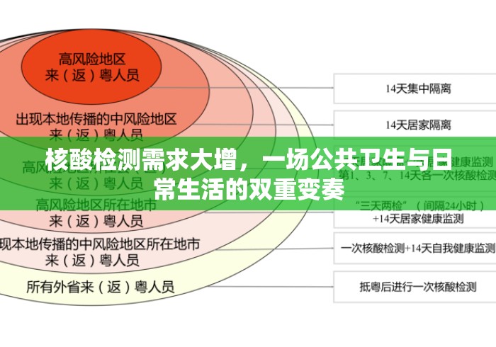 2025年元旦高速免费吗？政策解读与出行全攻略