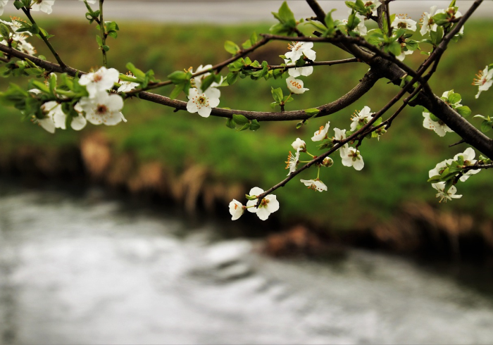 山东济南新增一例本土确诊病例详情公布，流调溯源与防控措施全面展开