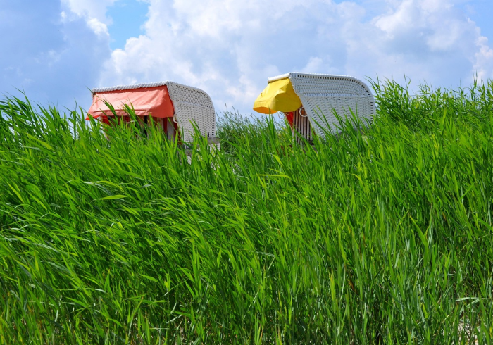 硬核标语背后,石家庄防疫宣传语中的集体记忆与情感动员 硬核标语背后,石家庄防疫宣传语中的集体记忆与情感动员