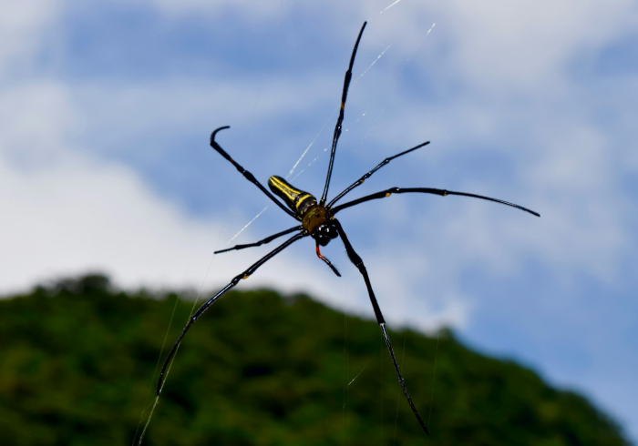 河南许昌，以坚韧之姿应对疫情大考