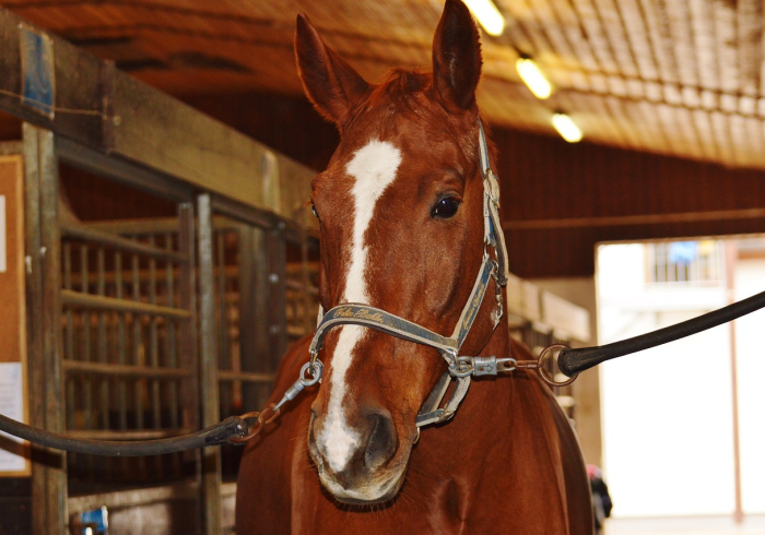 美国确诊超595万,疫情漩涡中的社会裂痕与未来挑战 美国确诊超595万,疫情漩涡中的社会裂痕与未来挑战