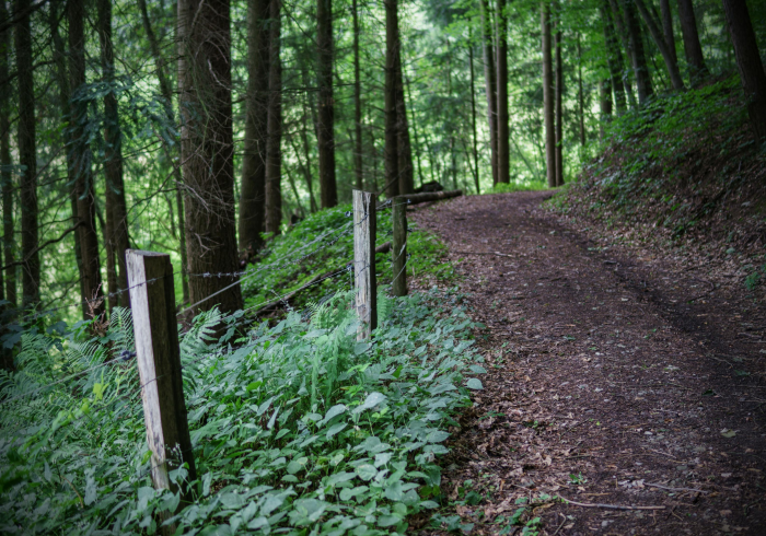 北京新增本土确诊详情,疫情下的防控与挑战 北京新增本土确诊详情,疫情下的防控与挑战