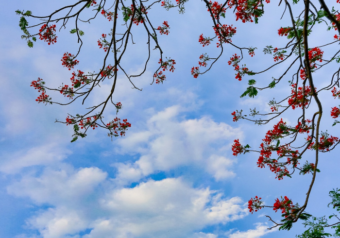 31省区市新增确诊7例均为境外输入，常态化防控下的防火墙与新常态