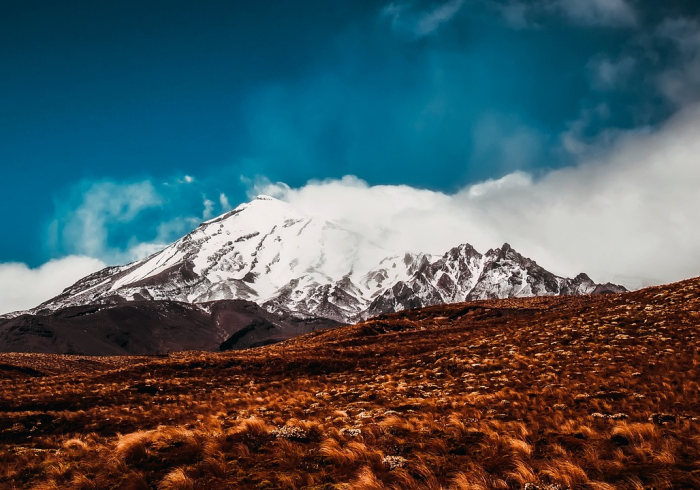 房卡必备教程“新蓝鲸大厅牛牛金花房卡”链接房卡在哪里获取