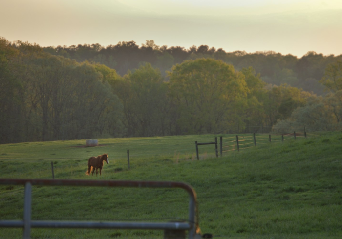 凡骨的逆袭,解析游戏王中城之内克也的卡组构筑与灵魂 凡骨的逆袭,解析游戏王中城之内克也的卡组构筑与灵魂