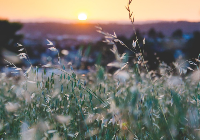 秒懂百科“微信在哪开炸 金花房间”详细房卡教程 秒懂百科“微信在哪开炸 金花房间”详细房卡教程