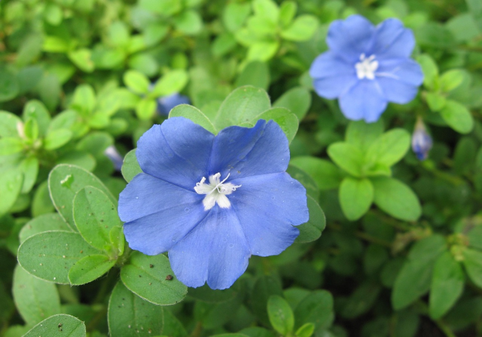 二连浩特市第五轮核酸检测结果均为阴性,常态化防控下的坚守与希望 二连浩特市第五轮核酸检测结果均为阴性,常态化防控下的坚守与希望