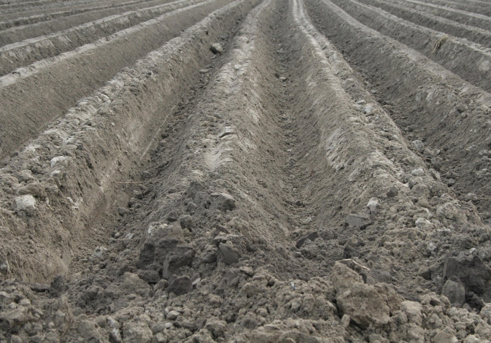 河南战疫记，坚韧土地上的生命守护与希望之光