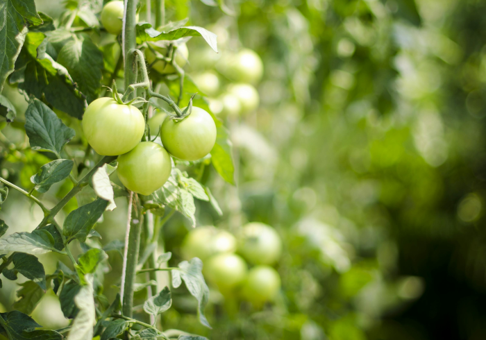 哈尔滨疫情今日消息，精准防控下的坚韧与希望