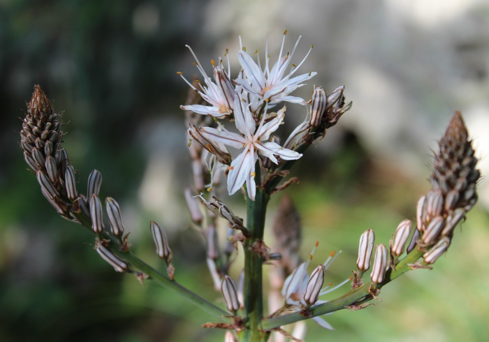 中高风险地区最新名单(7.23更新)疫情动态与防控策略深度解析 中高风险地区最新名单(7.23更新)疫情动态与防控策略深度解析