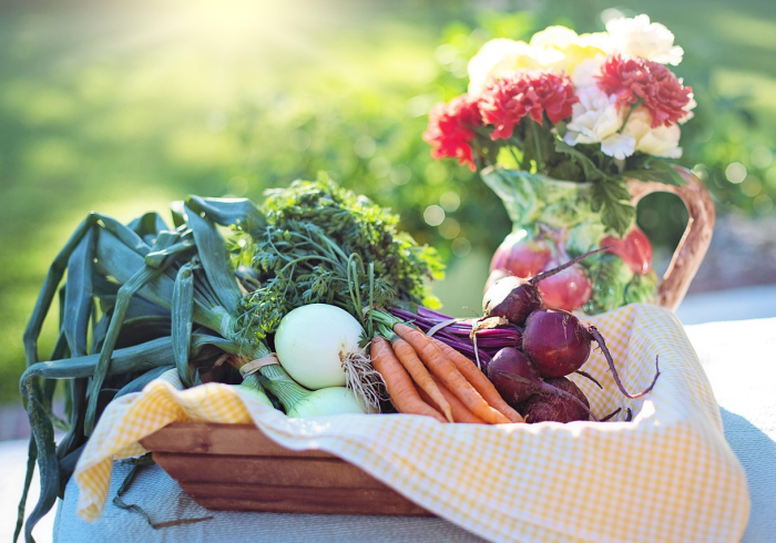 最新疫情动态与轨迹追踪，科学防控，共筑健康防线