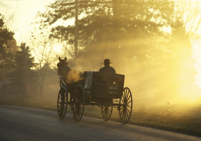石家庄新增本土确诊病例3例详情，轨迹公布，防控措施全面升级
