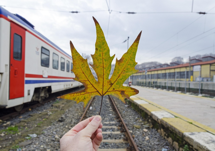伊犁疫情下的堵车长龙，一场等待与希望的考验