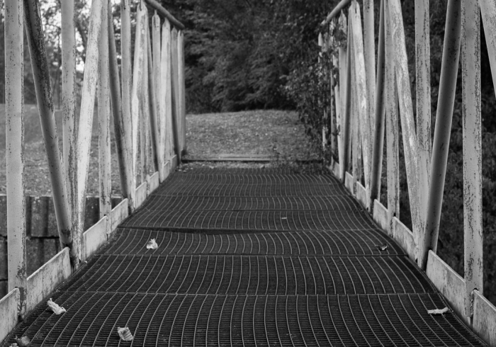 沧州战疫记，一座城市的坚韧与温度