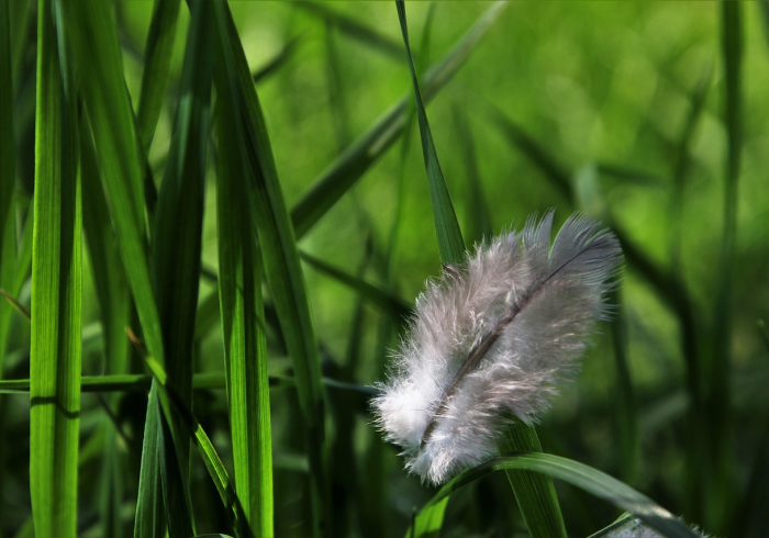 全国31个省疫情最新动态,4月2日防控形势分析与区域观察 全国31个省疫情最新动态,4月2日防控形势分析与区域观察