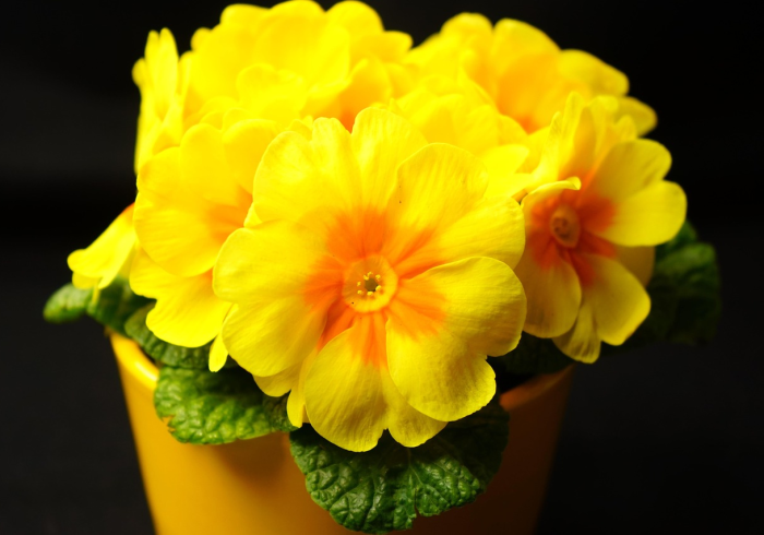 福建新增本土确诊141例,疫情防控再临严峻考验 福建新增本土确诊141例,疫情防控再临严峻考验