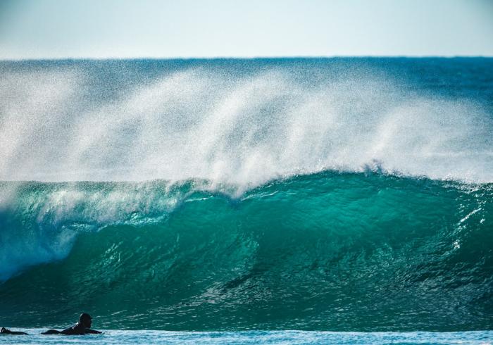 电子化浪潮下的合规之路,辽宁发票开具全流程深度解析 电子化浪潮下的合规之路,辽宁发票开具全流程深度解析