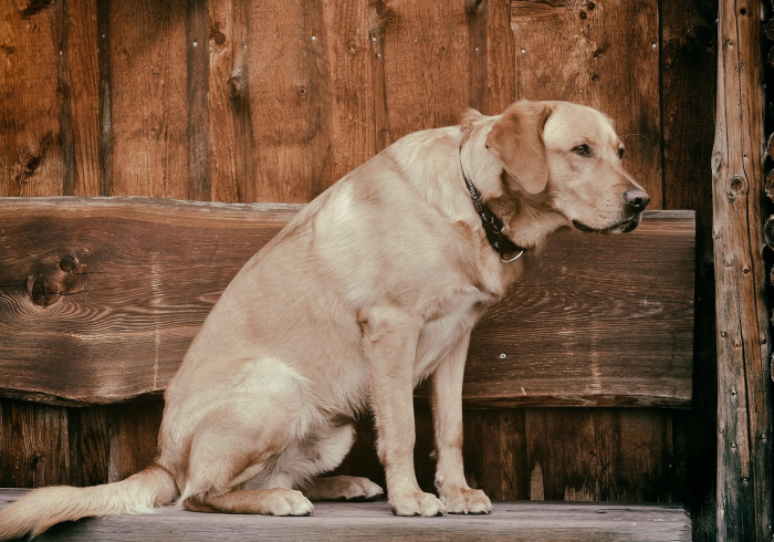房卡必备教程“新道游大厅牛牛房卡充值 ”详细房卡怎么购买教程 房卡必备教程“新道游大厅牛牛房卡充值 ”详细房卡怎么购买教程