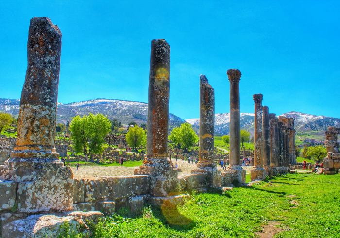 数字遗迹,QQ部落44-1背后的集体记忆与时代变迁 数字遗迹,QQ部落44-1背后的集体记忆与时代变迁