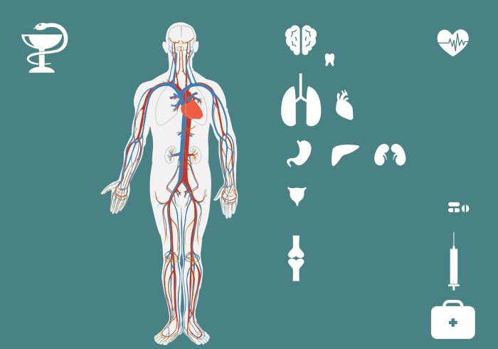 玩家必备教程“微信牛牛房卡怎么搞”详细房卡教程 玩家必备教程“微信牛牛房卡怎么搞”详细房卡教程