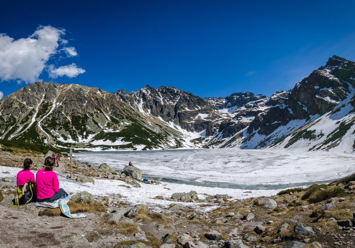 房卡必备教程“微信牛牛房卡招代理”房卡获取方式 房卡必备教程“微信牛牛房卡招代理”房卡获取方式
