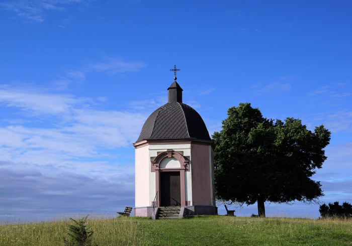 全球疫情最新情况实时动态,挑战、进展与反思 全球疫情最新情况实时动态,挑战、进展与反思