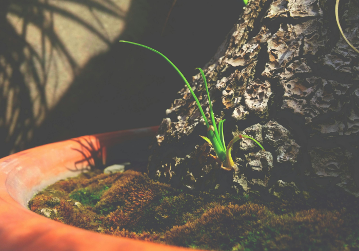 生命防线，当H7N9的阴影笼罩最年轻的花季