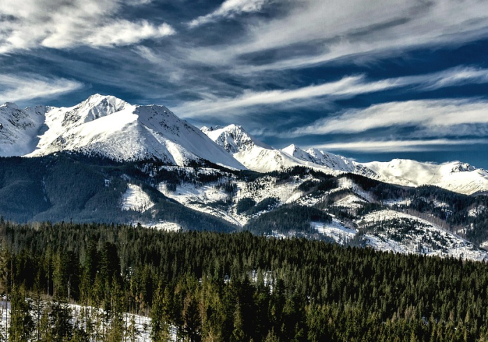 欧洲新冠病例突破5000万,一个时代的数字烙印与无尽反思 欧洲新冠病例突破5000万,一个时代的数字烙印与无尽反思