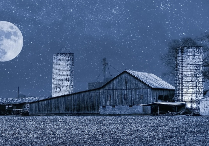 北京网吧吧,数字浪潮下的文化飞地与时代剪影 北京网吧吧,数字浪潮下的文化飞地与时代剪影
