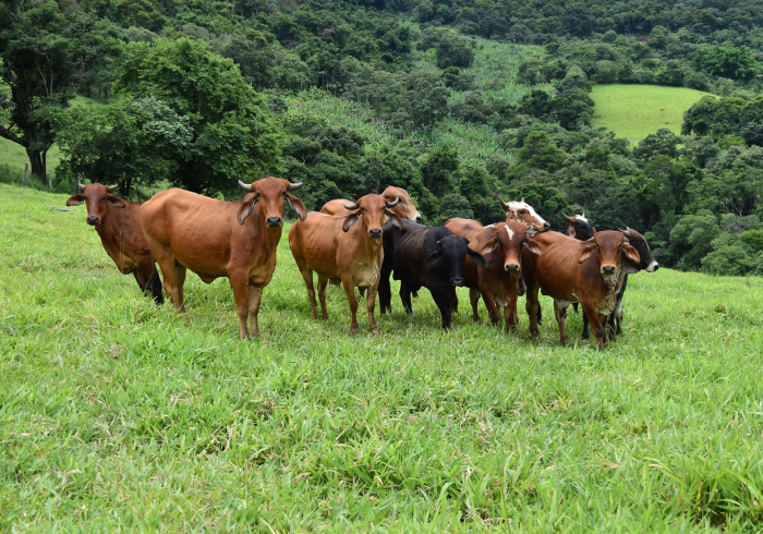 房卡必备教程“新神兽大厅怎么买房卡”详细房卡怎么购买教程 房卡必备教程“新神兽大厅怎么买房卡”详细房卡怎么购买教程
