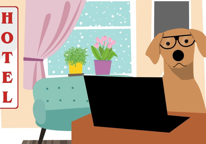 秒懂百科“新人皇大厅怎么买房卡”购买房卡介绍 秒懂百科“新人皇大厅怎么买房卡”购买房卡介绍