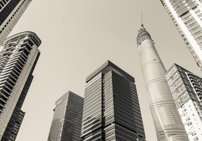 清明归途，免费通行，广东高速政策背后的经济与人文考量