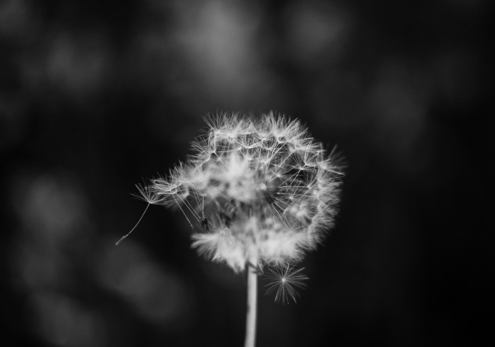 回溯疫情大规模爆发的时间节点，2020年1月23日的警示与启示