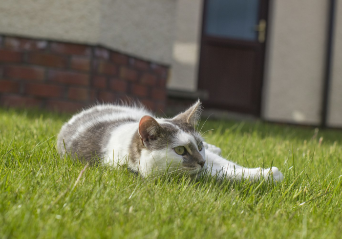 房卡必备教程“微信上炸 金花房间房卡”获取房卡教程-哔哩哔哩 房卡必备教程“微信上炸 金花房间房卡”获取房卡教程-哔哩哔哩