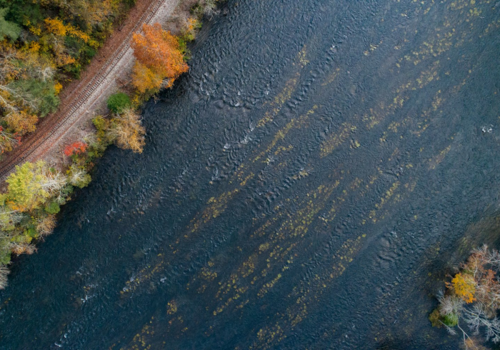 一分钟介绍使用“炸 金花房卡专卖店联系方式”房卡链接获取 一分钟介绍使用“炸 金花房卡专卖店联系方式”房卡链接获取