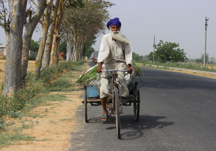 全攻略普及“新皇豪互娱牛牛买房卡”详细房卡使用教程 全攻略普及“新皇豪互娱牛牛买房卡”详细房卡使用教程