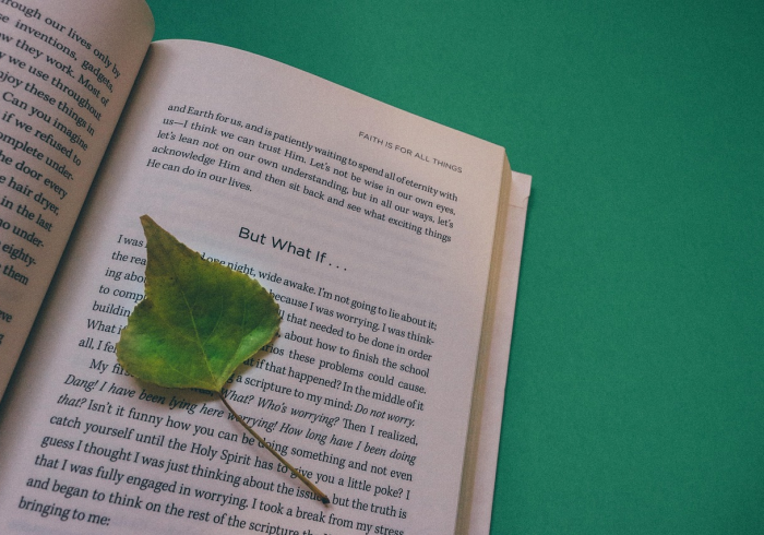 天津河北区疫情最新消息今天，防控措施升级，全力守护市民健康安全