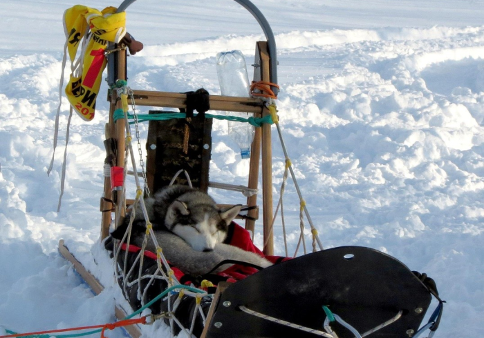 贵州六盘水，疫情下的坚守与希望