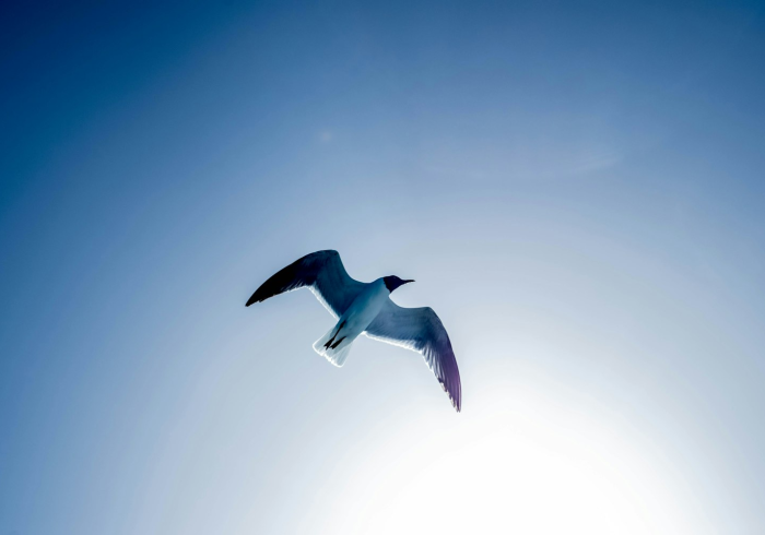 冰雪之约,生命之光—记2022年北京冬残奥会盛大启幕 冰雪之约,生命之光—记2022年北京冬残奥会盛大启幕