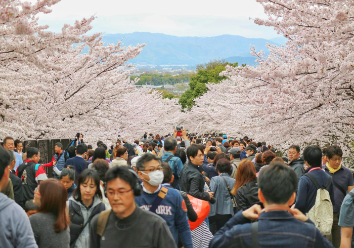 一分钟了解“微信炸 金花如何自建房间”详细房卡使用教程 一分钟了解“微信炸 金花如何自建房间”详细房卡使用教程