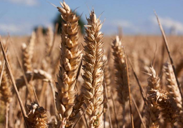 清明时节寄哀思—2022年清明节放假安排与传统文化传承