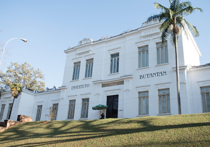 全球疫情最新动态,变异毒株传播与防控策略再评估 全球疫情最新动态,变异毒株传播与防控策略再评估