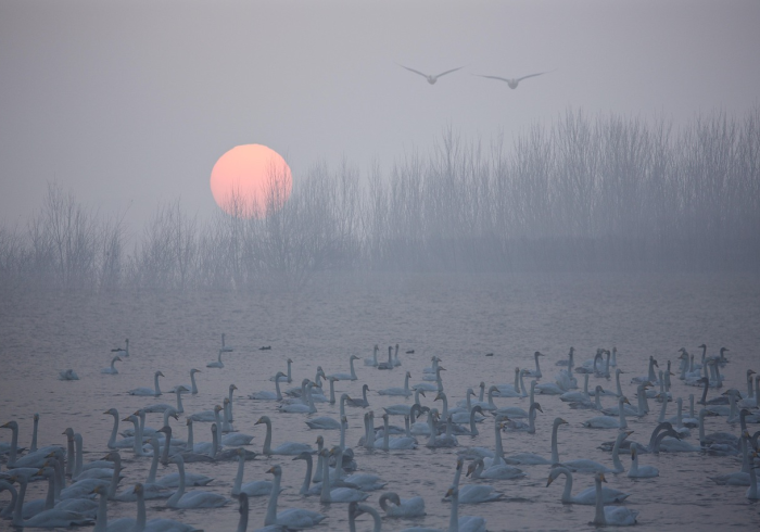 月满人归，中秋返厂路上的团圆与前行