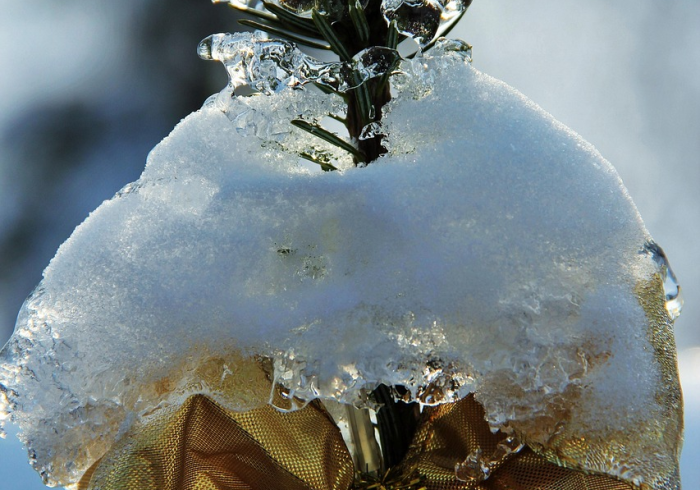 北京冬残奥会,冰雪之上的生命礼赞 北京冬残奥会,冰雪之上的生命礼赞