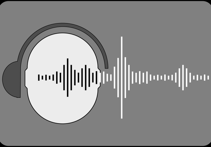 上海出行政策查询,高效掌握城市动态的必备指南 上海出行政策查询,高效掌握城市动态的必备指南