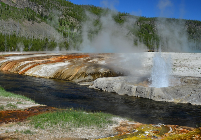 印度疫情海啸式爆发,世卫警告周边国家拉响警报 印度疫情海啸式爆发,世卫警告周边国家拉响警报
