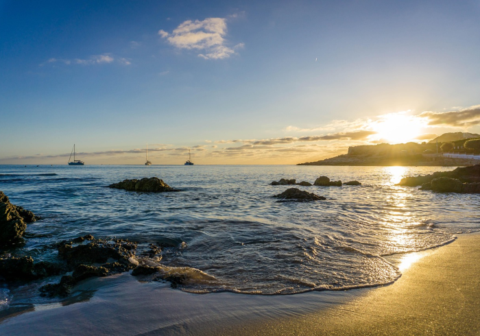 美国新冠疫情最新动态，今日焦点与深层解析