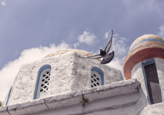 共筑生命防线,中国成功控制新冠肺炎的实践与启示 共筑生命防线,中国成功控制新冠肺炎的实践与启示