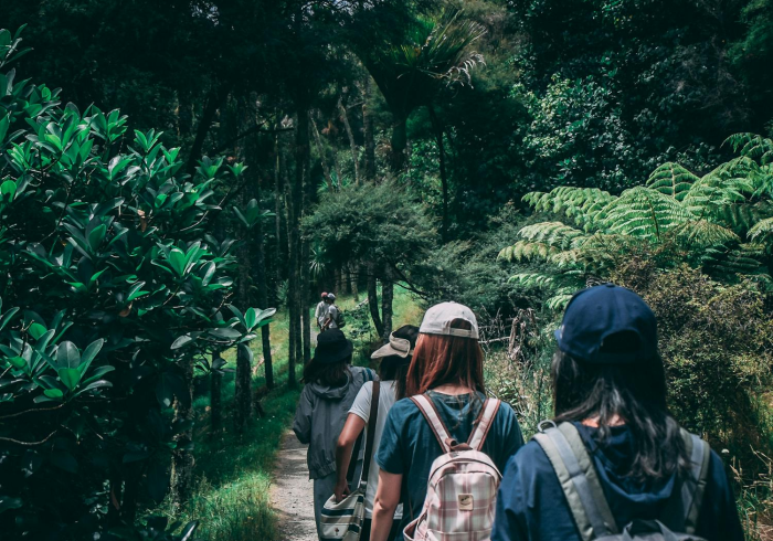 上海疫情，精准防控下的坚韧与复苏