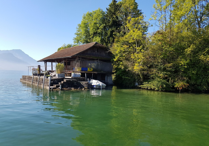 秒懂教程“皇豪互娱在哪里买房卡”购买房卡介绍 秒懂教程“皇豪互娱在哪里买房卡”购买房卡介绍